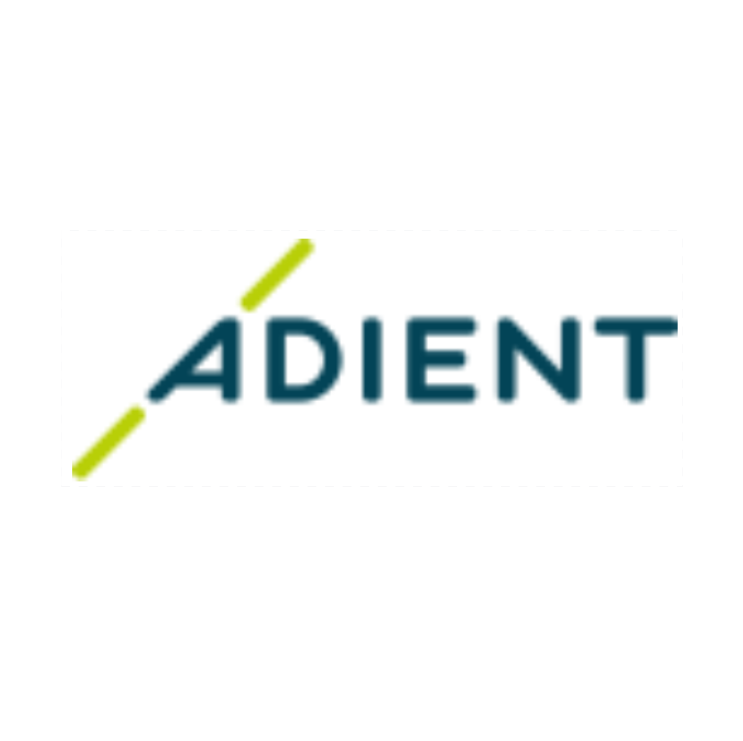 logo_ADIENTFABRICS_1332531